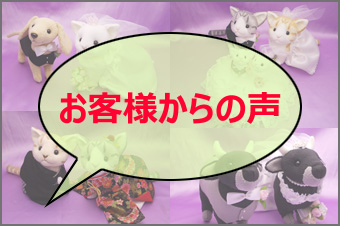 お客様からの声