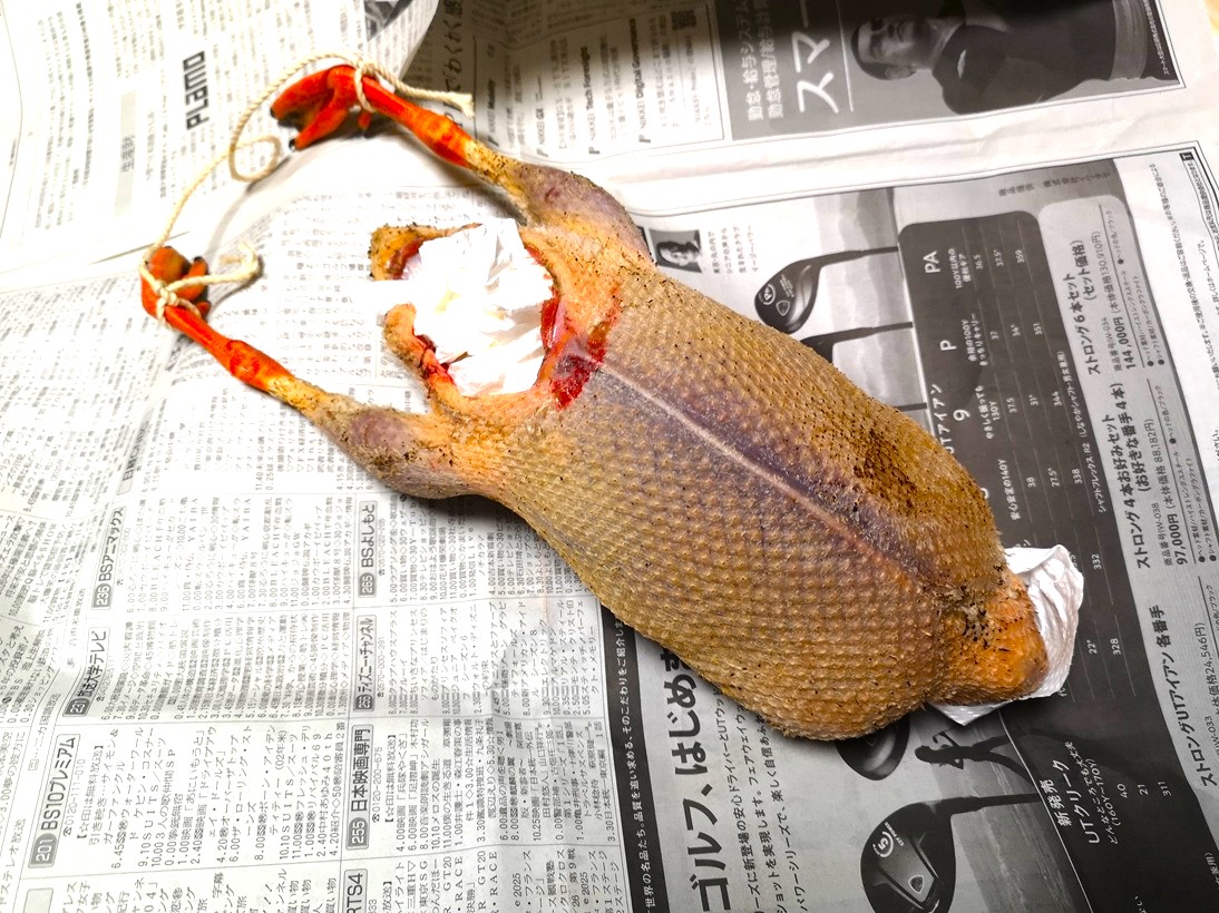 カルガモの熟成