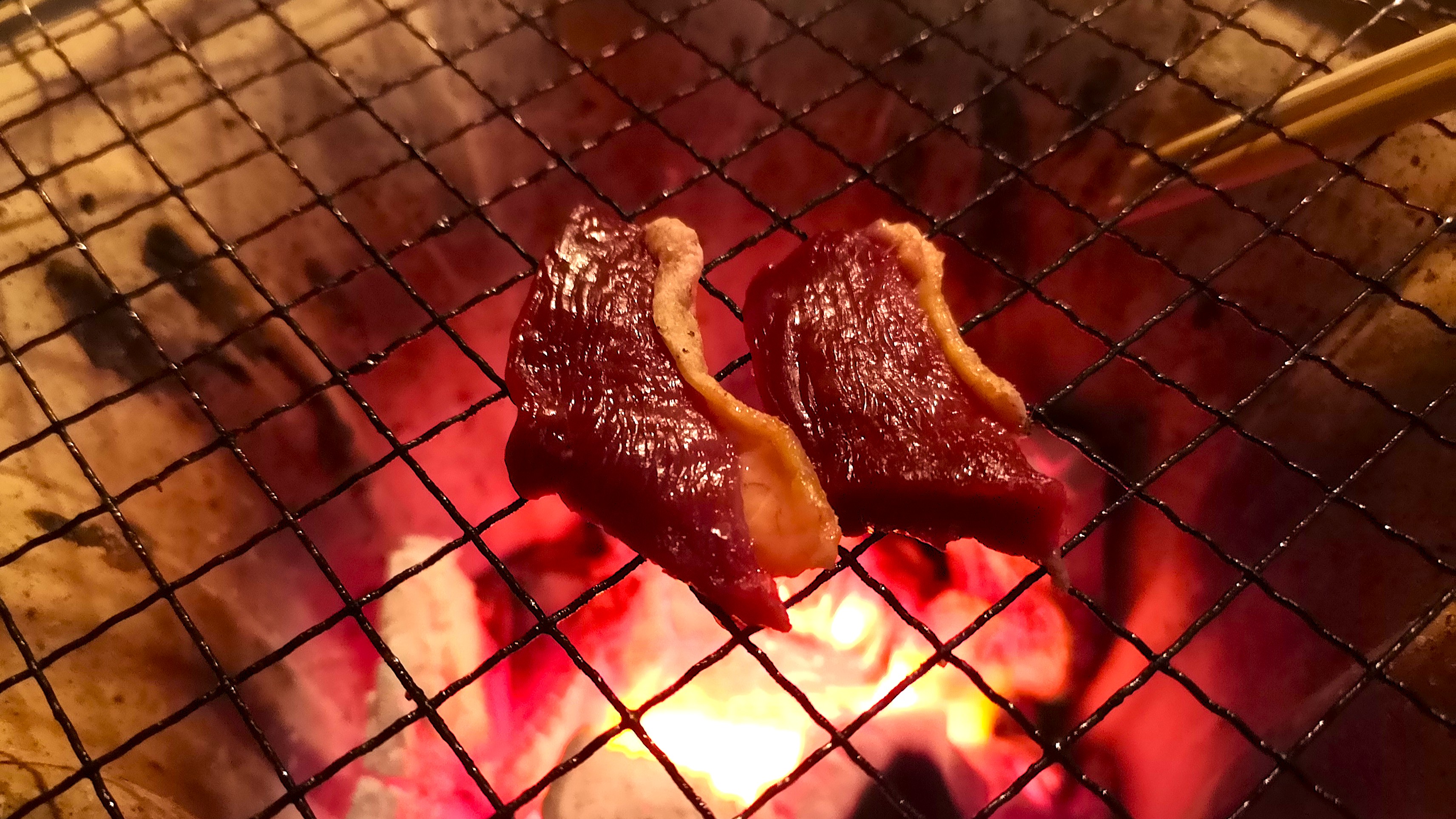 Field Notes #01：ゴムライフル(スリングライフル)での鴨猟、5品の