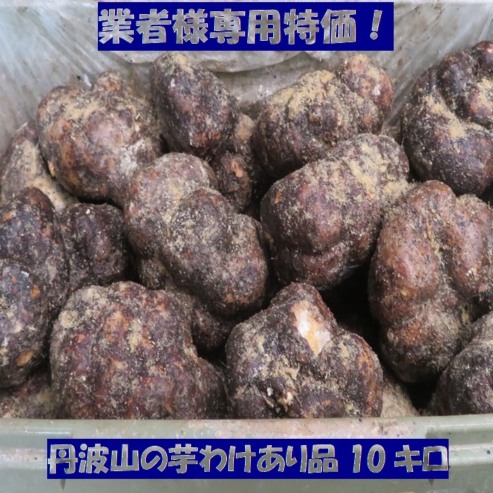 業務用 特価 丹波 山芋 ワケあり 10キロ (25〜45個) つくね芋 つくね芋・丹波山の芋・ブランド京野菜オンラインショップ『芋家