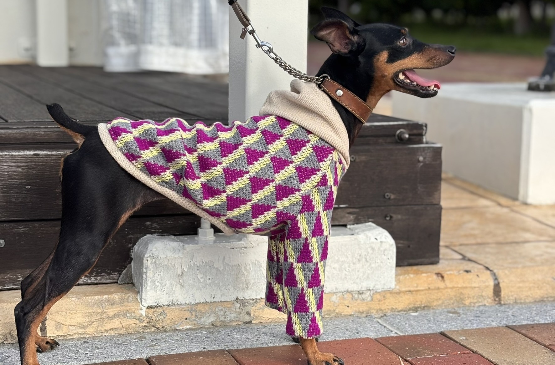 ハンドメイド ミニピン服・イタグレ服・犬服のお店：LANADOG