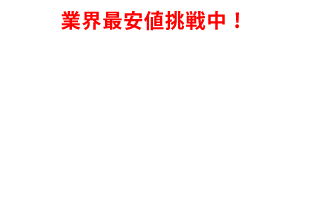 超仕上カンナ刃 兼房製 シンクス（旧名 新鋼）式 10S-360、ES-10