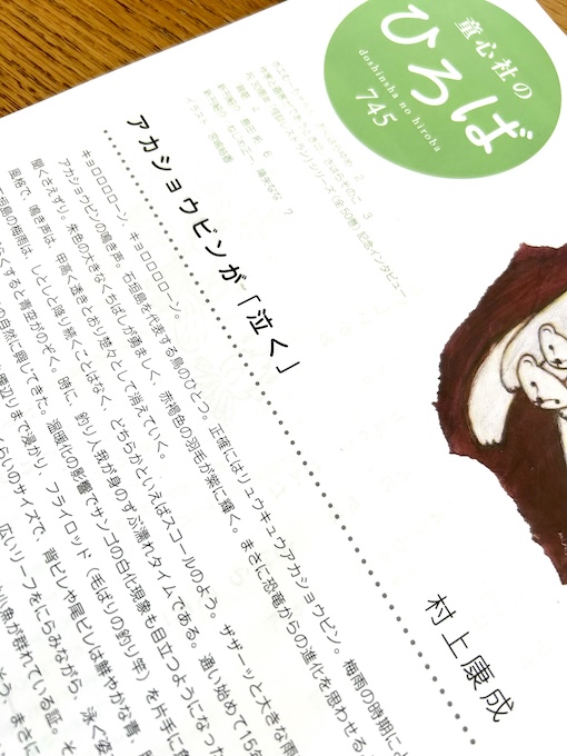 村上康成 最新情報 | 村上康成グッズ、今治タオルの販売-MINT mint
