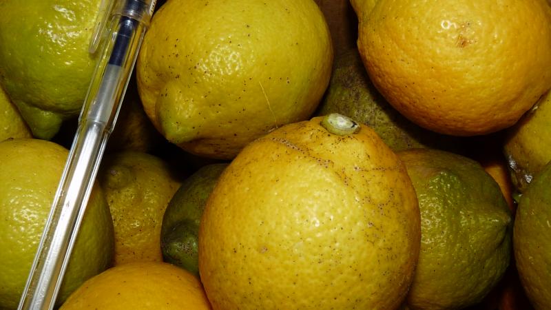 限定♪広島産 農薬も肥料も与えず自然に育った大きなまん丸レモン１キロ