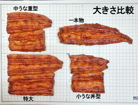 うなぎ蒲焼各サイズ | 佐藤サンプル ネット通販部