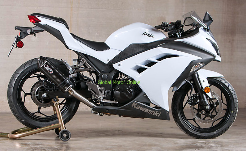 M4 Standard Mount カーボン スリップオン マフラー NINJA 250/300 
