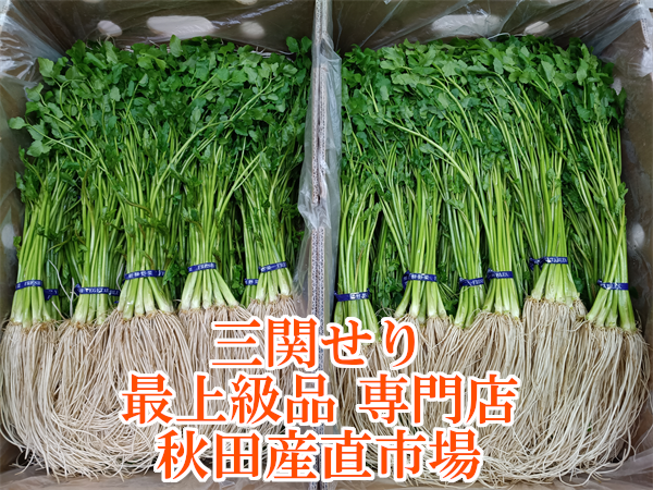 指定日可【三関せり通販】最上級品「特A」湯沢市三関地域特産ブランド