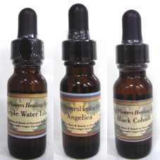 アップルブロッサム パワーオブフラワーヒーリングエッセンス パワー・オブ・フラワー ヒーリングエッセンス☆アップルブロッサム