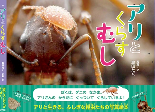 ふなむしページ アリとくらすむし (ふしぎいっぱい写真絵本) | Ant Room Web Shop