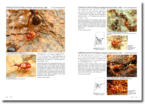 アリの巣の生きもの図鑑 Ｔｈｅ Ｇｕｅｓｔｓ ｏｆ