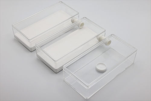 大きな石膏飼育ケース | Ant Room Web Shop