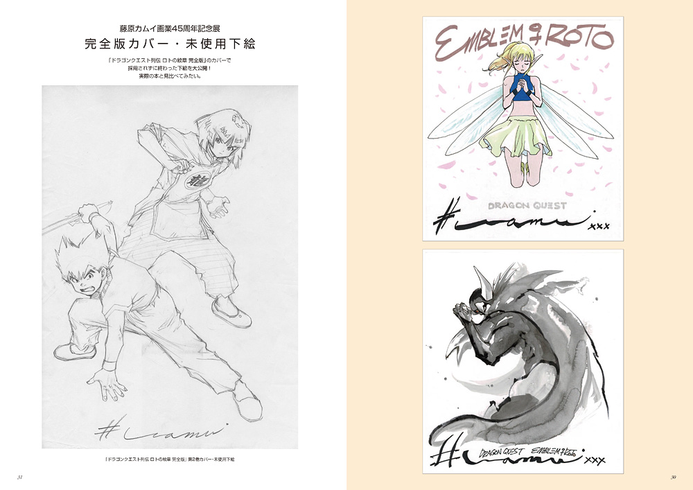藤原カムイ「ドラゴンクエスト列伝 ロトの紋章の世界の旅 PART-2〜藤原