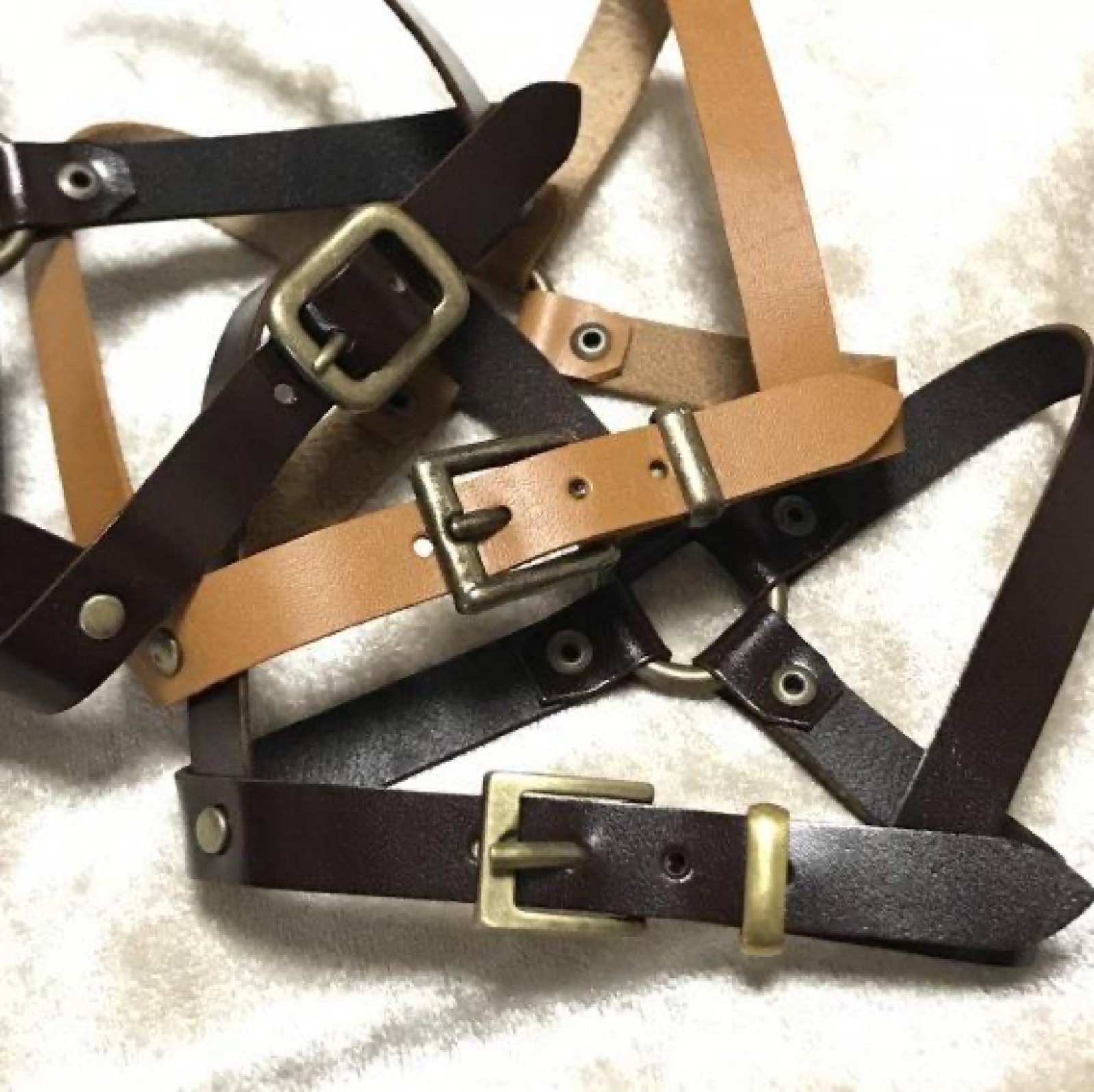 クリックで画像を表示