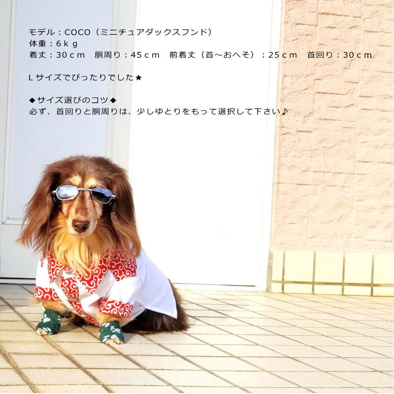 送料無料】唐草模様シャツ☆胴長犬（ダックスフンドなど） | B.B.Club