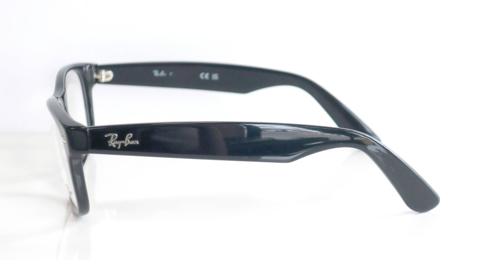 Ray-Ban（レイバン） NEW WAYFARER（ニューウェイファーラー） RB5184F