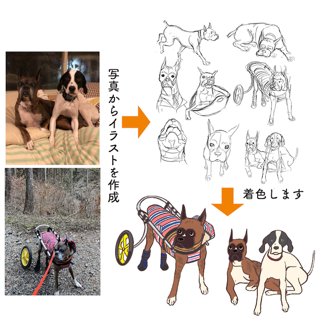 model : toki @saotake_toki * * shibainu 2025冬の鉛筆画展