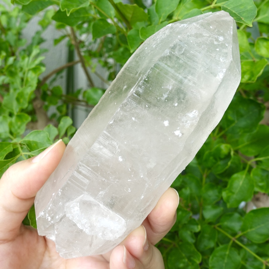 ロシア ウラル産レムリアン No1042 ロシア産ウラルレムリアンシード