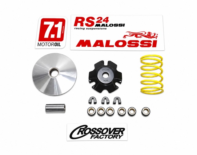 【d(￣ ￣)】 MALLOSSI マロッシ MULTIVAR/マルチバリエター Dio ZX -99 MALOSSI