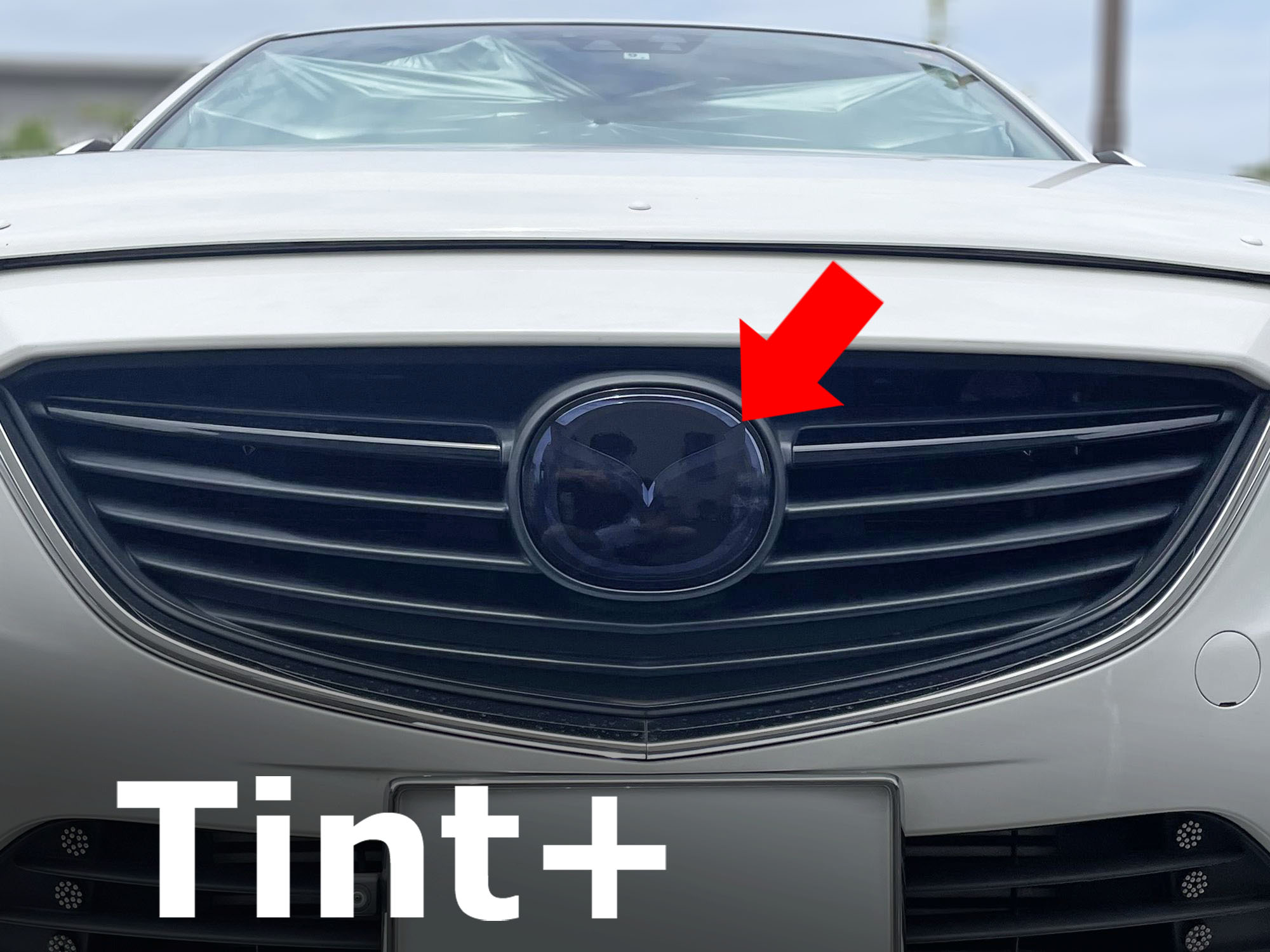 Tint+ マツダ アテンザ GJ2FP/GJ2AP/GJEFP/GJ5FP 前期 ～2014/12