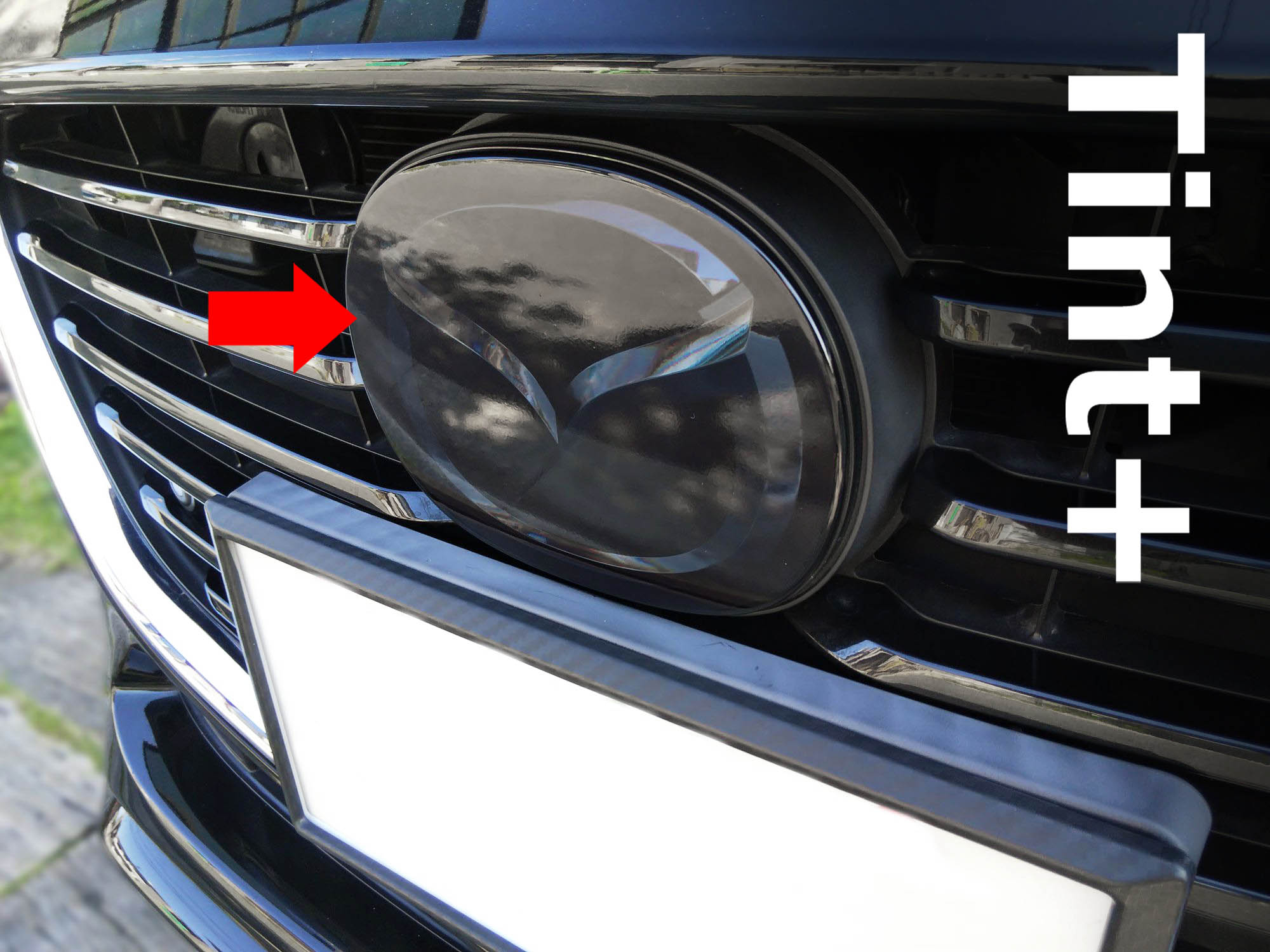 Tint+ マツダ アクセラスポーツ BM2FS/BM2AS/BM5AS/BM5FS/BMEFS
