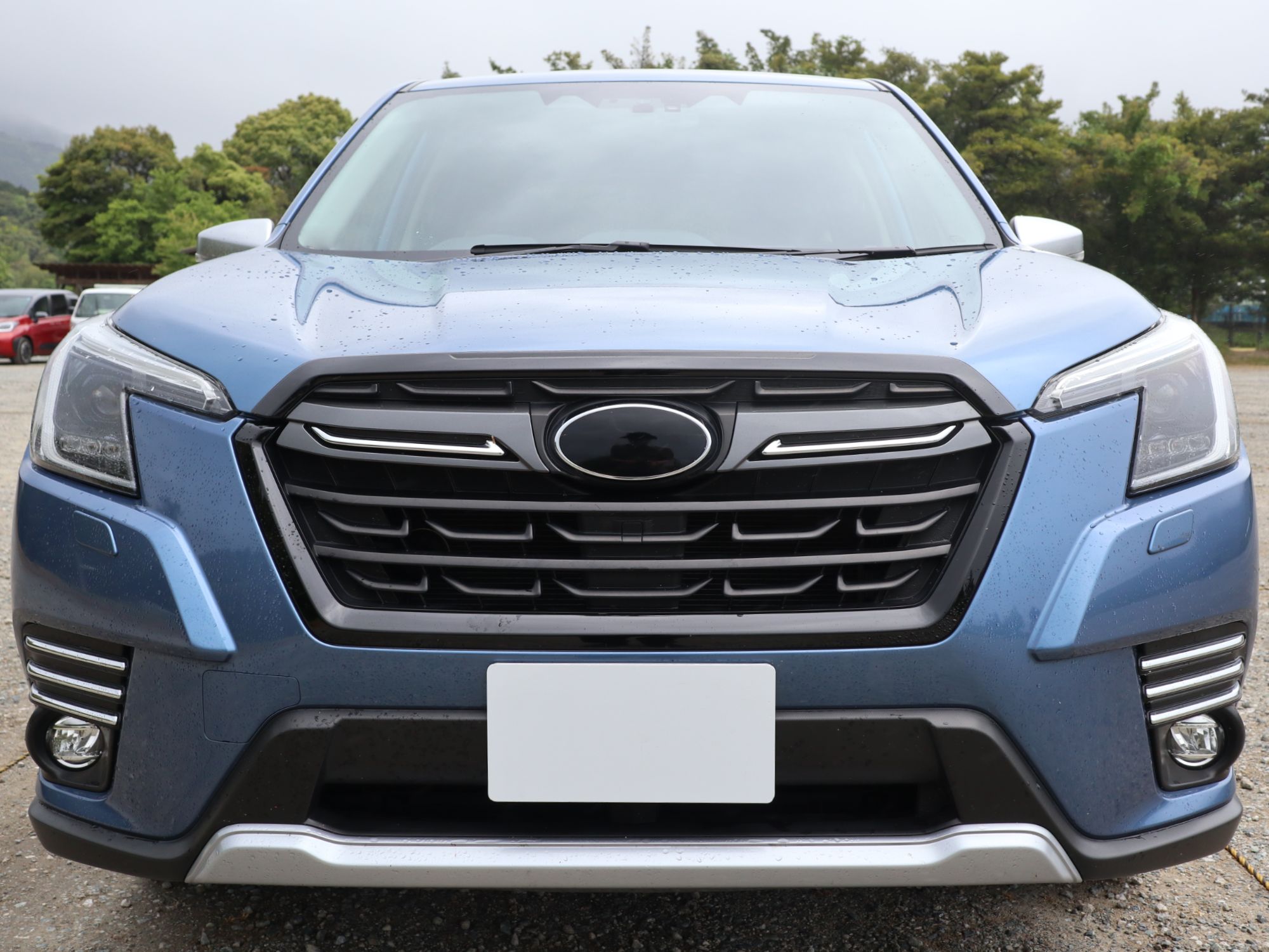 Tint+ スバル フォレスター SK5/SK9/SKE 後期 D/E/F型 前後エンブレム