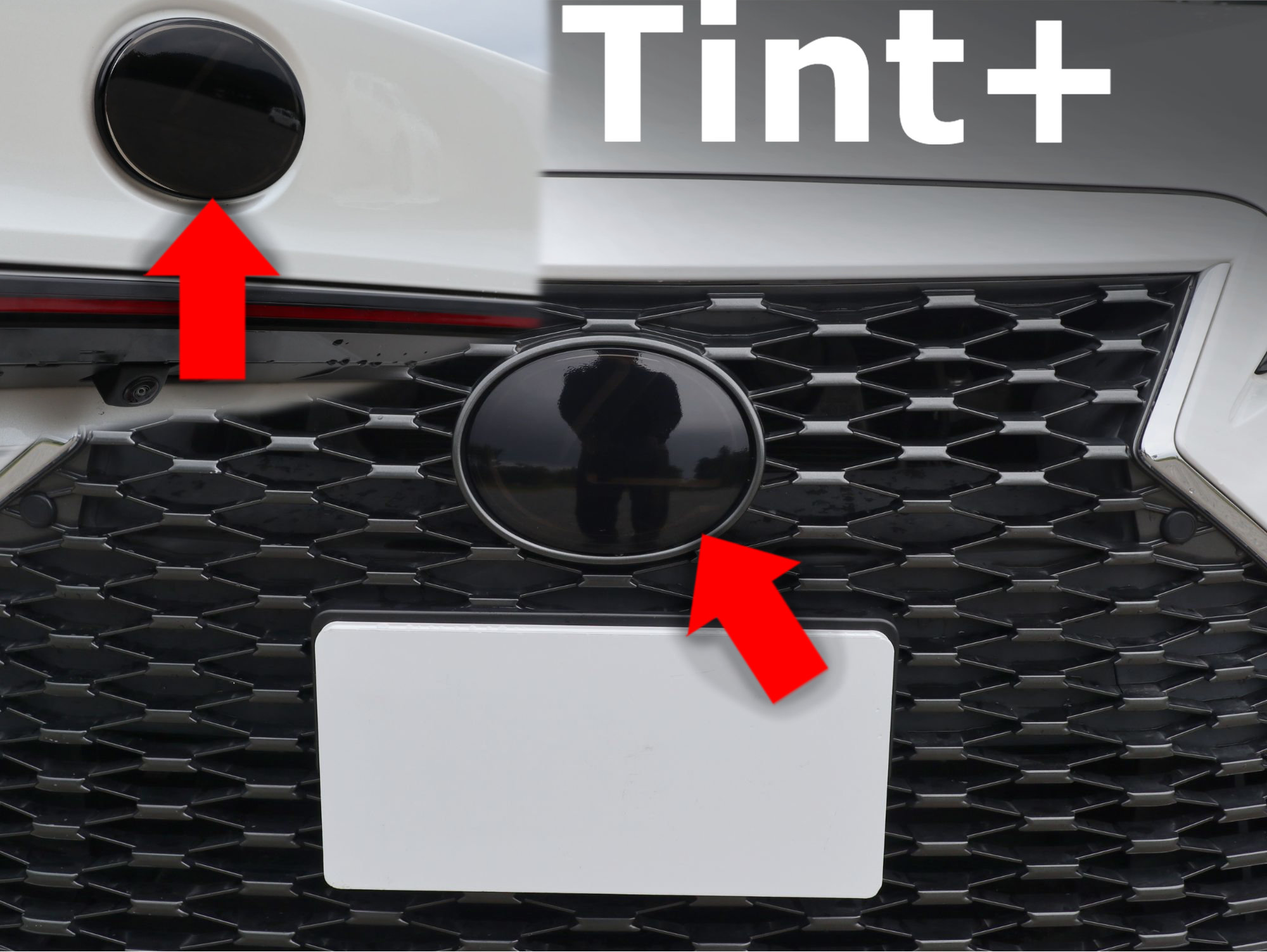 Tint+ レクサス IS300/IS350/IS500/IS300h ASE30/GSE31/AVE30/AVE35 