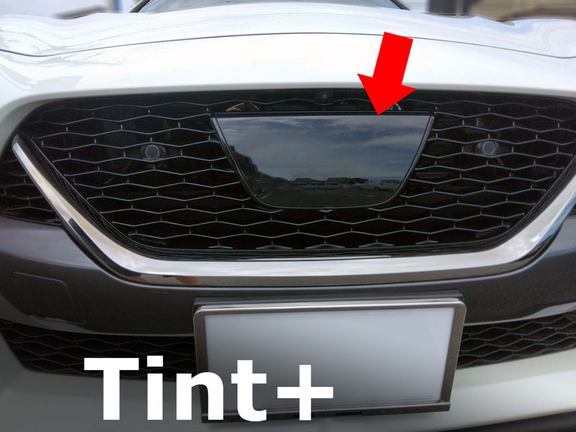 Tint+ 日産 スカイライン V37 後期 フロントエンブレム 用 (☆ブラック