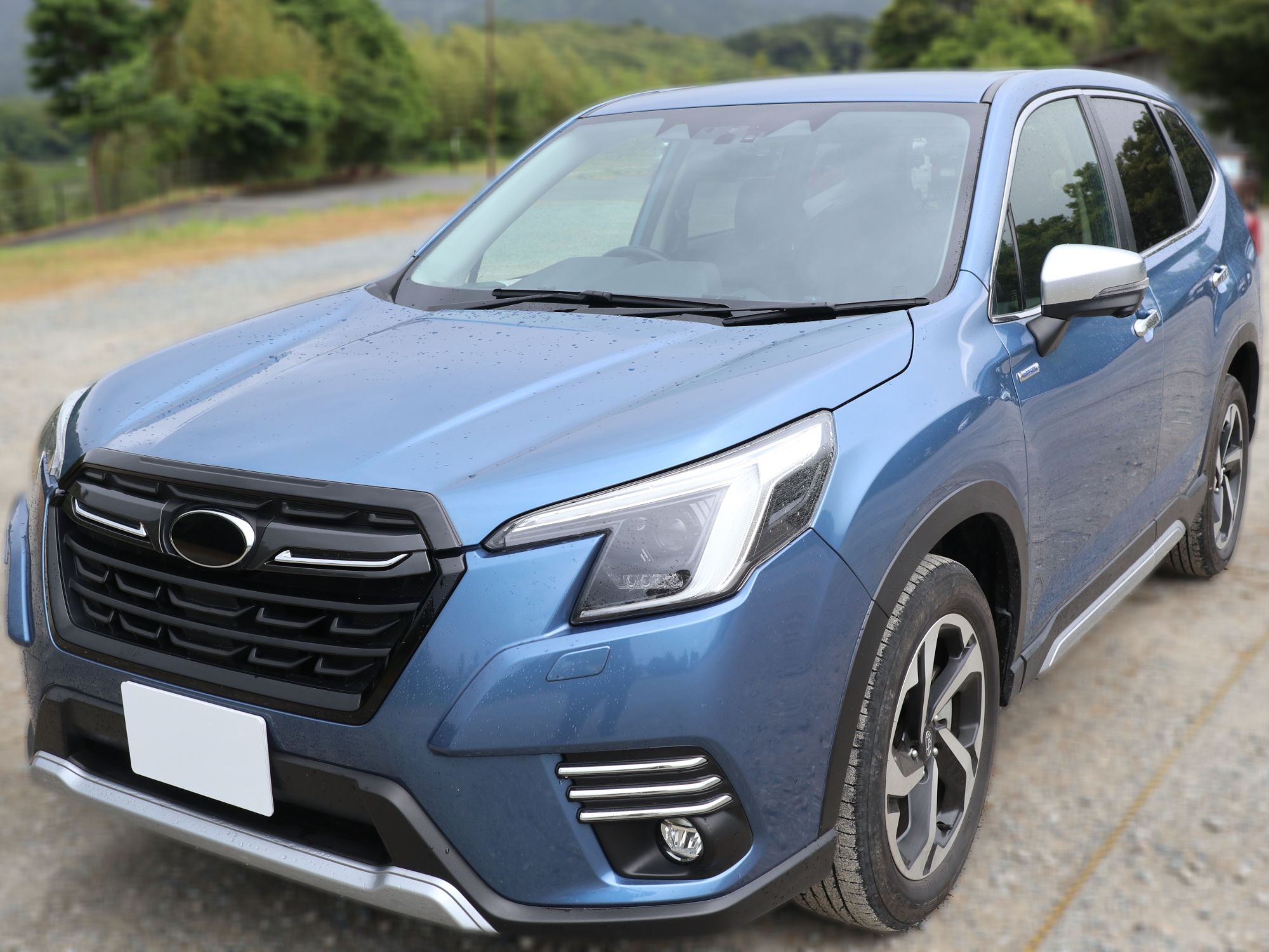 Tint+ スバル フォレスター SK5/SK9/SKE 後期 D/E/F型 前後エンブレム