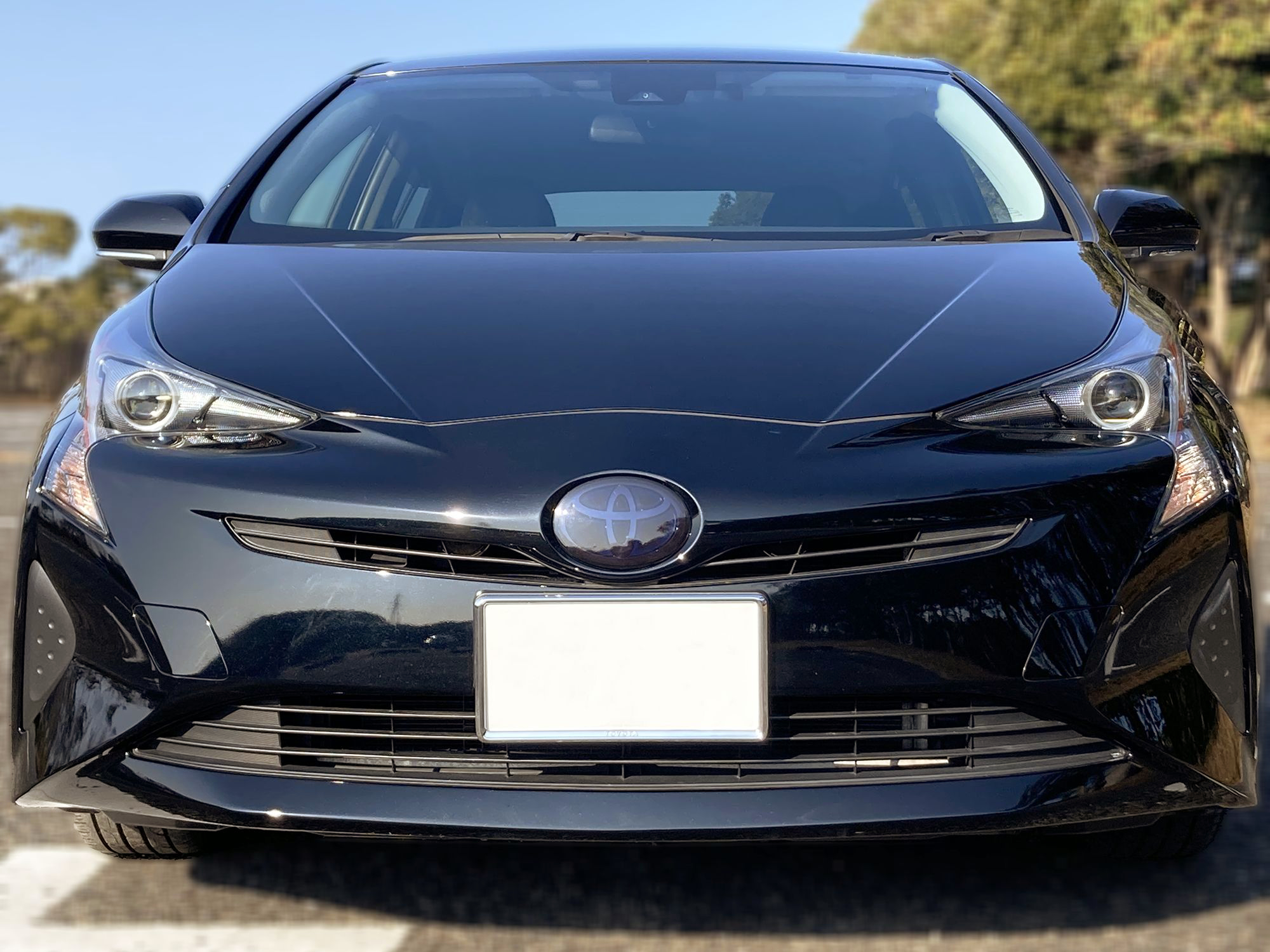 Tint+ トヨタ プリウス ZVW50/ZVW51/ZVW55 前期 フロントエンブレム 用