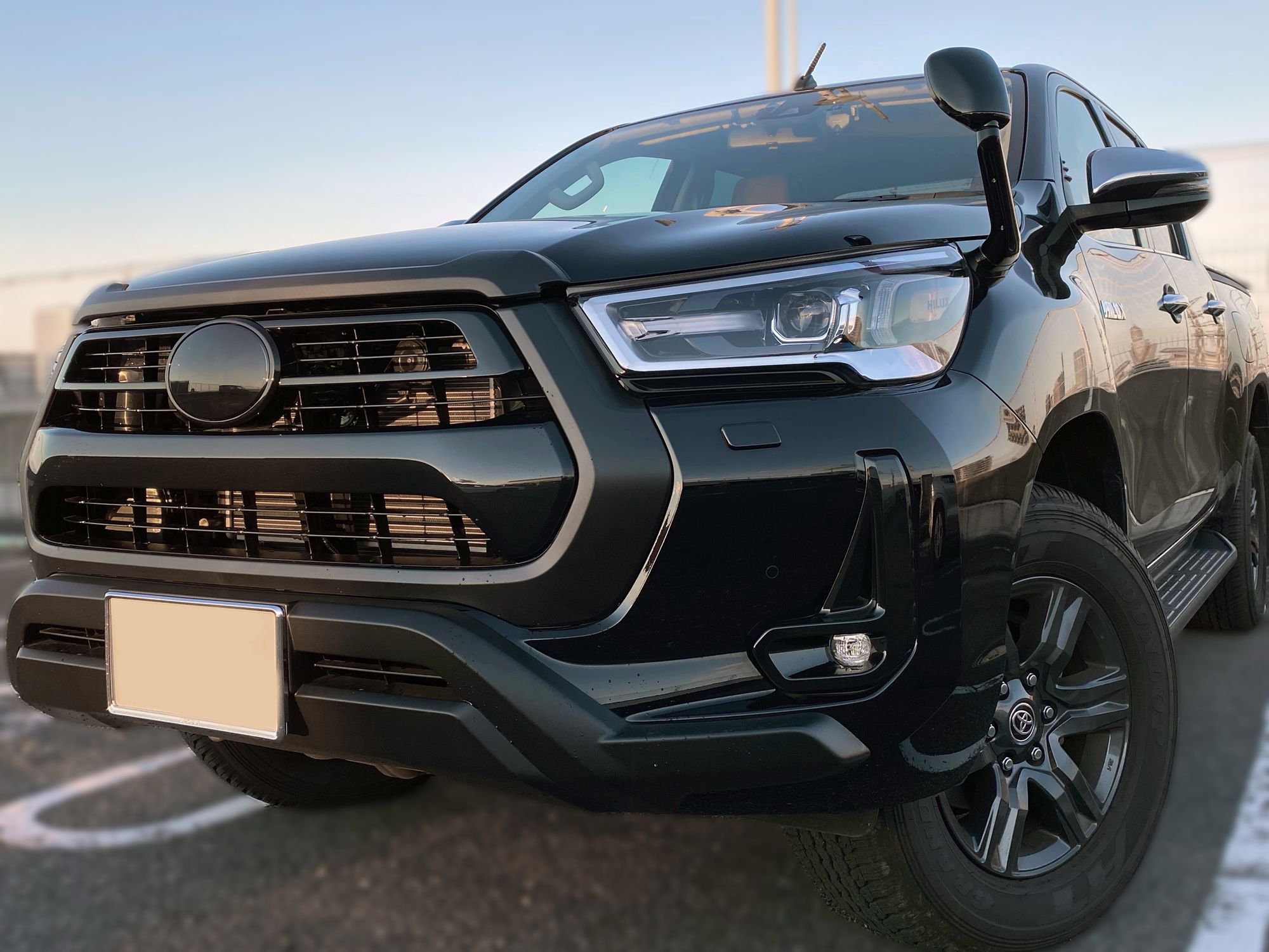 ハイラックス エンブレム ブラックアウト 最終値下げ！