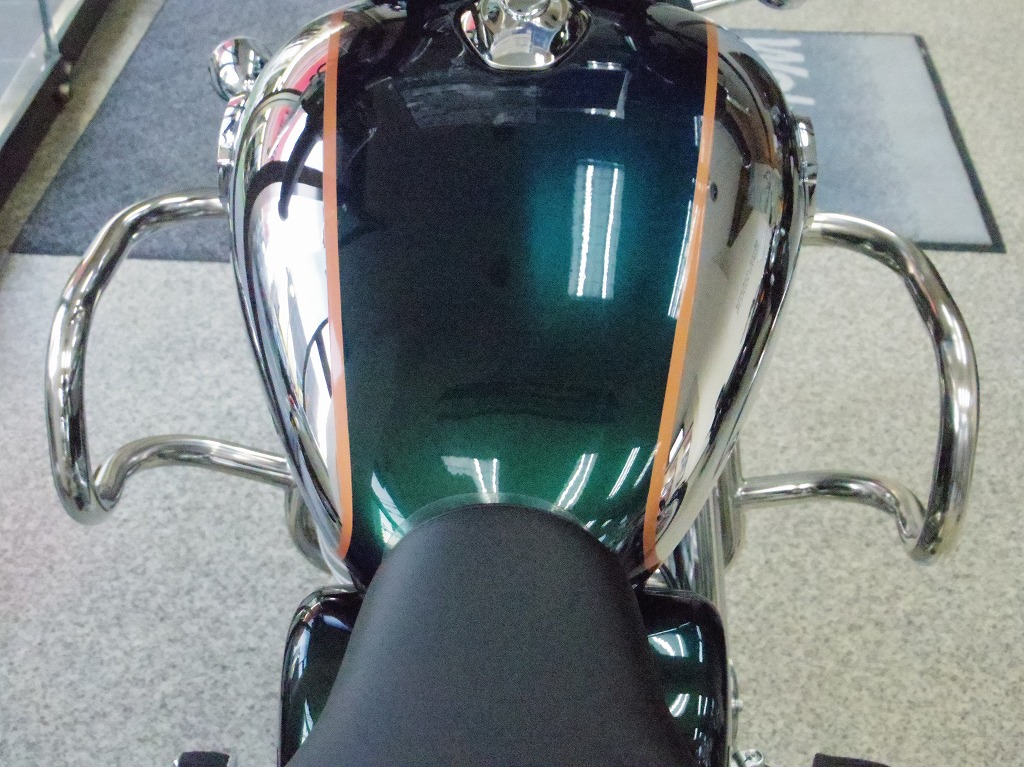 専用です。 バイク チェーンカバーガード スプロケットプロテクター ロイヤルエン