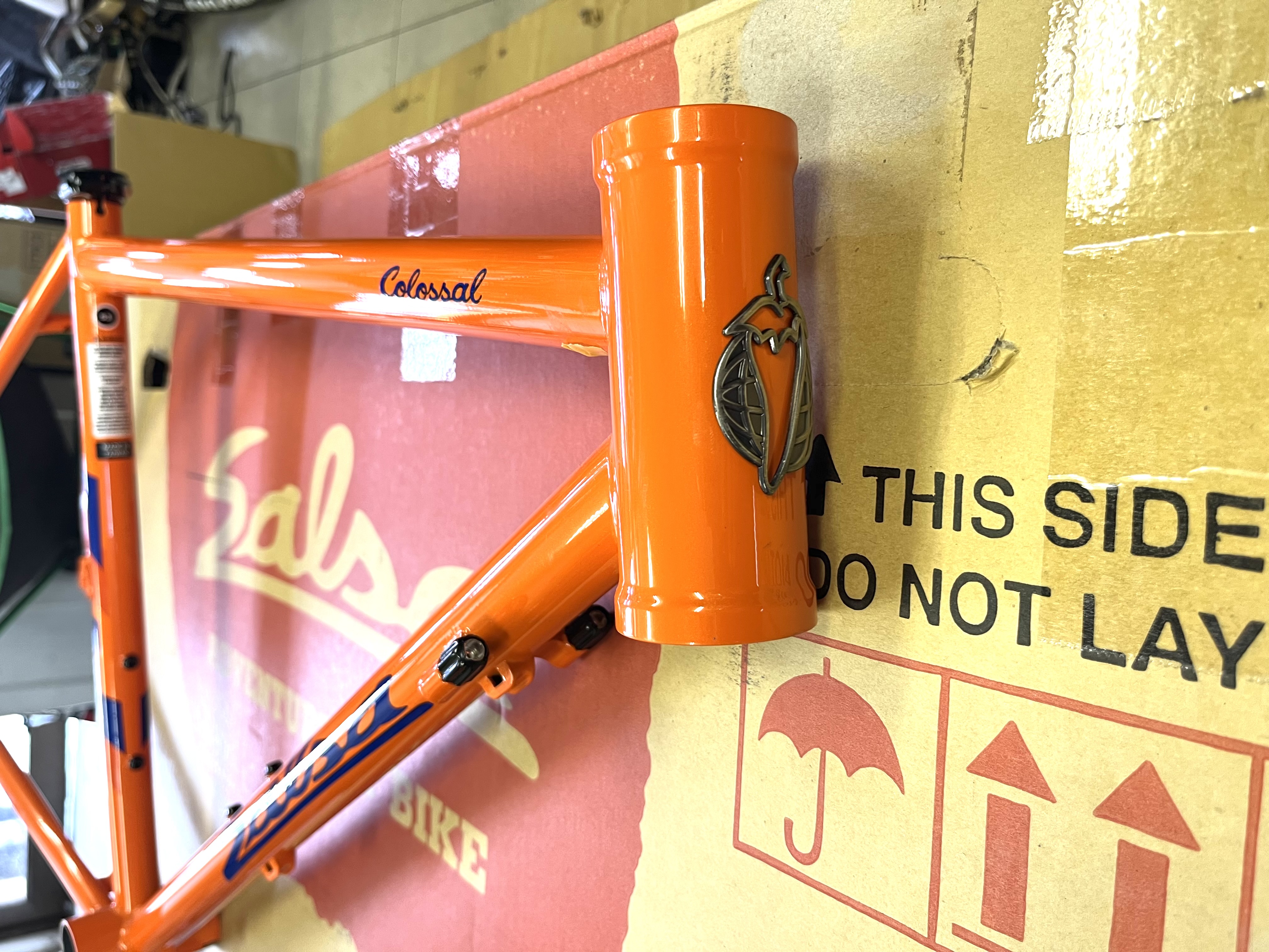 特価SALSA COLOSSAL2 | Dimension