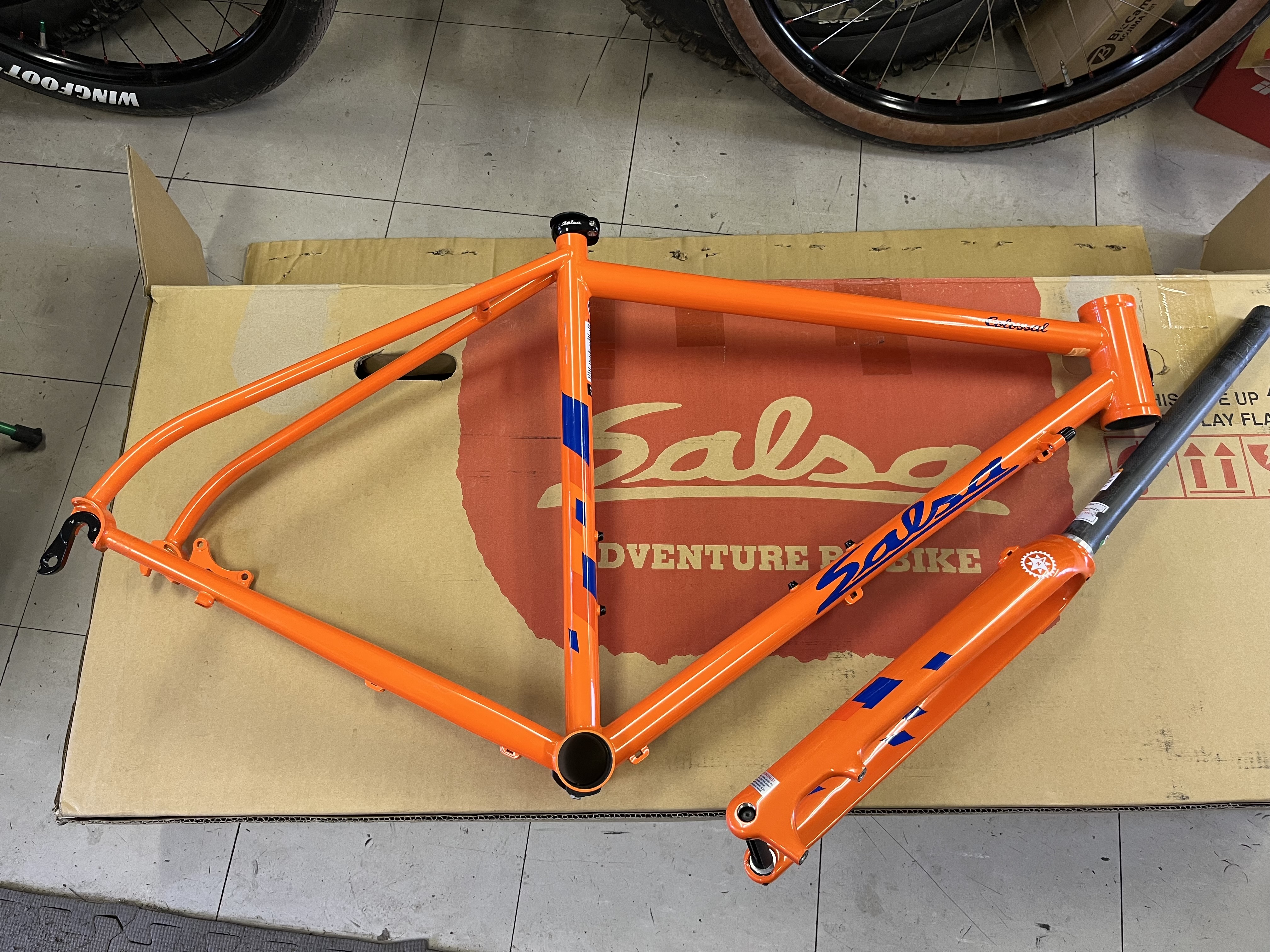 特価SALSA COLOSSAL2 | Dimension