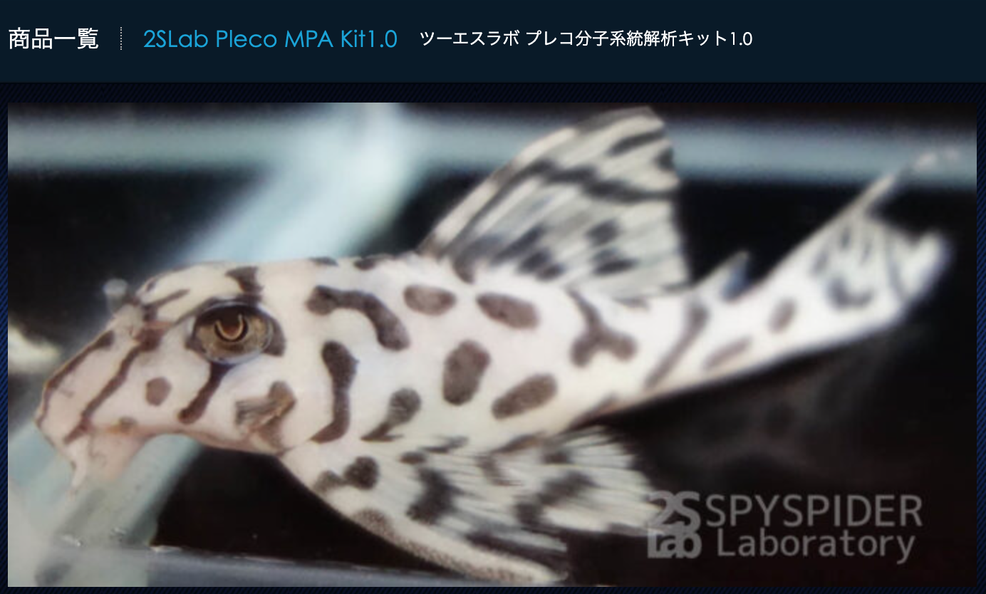 クリックで画像を表示