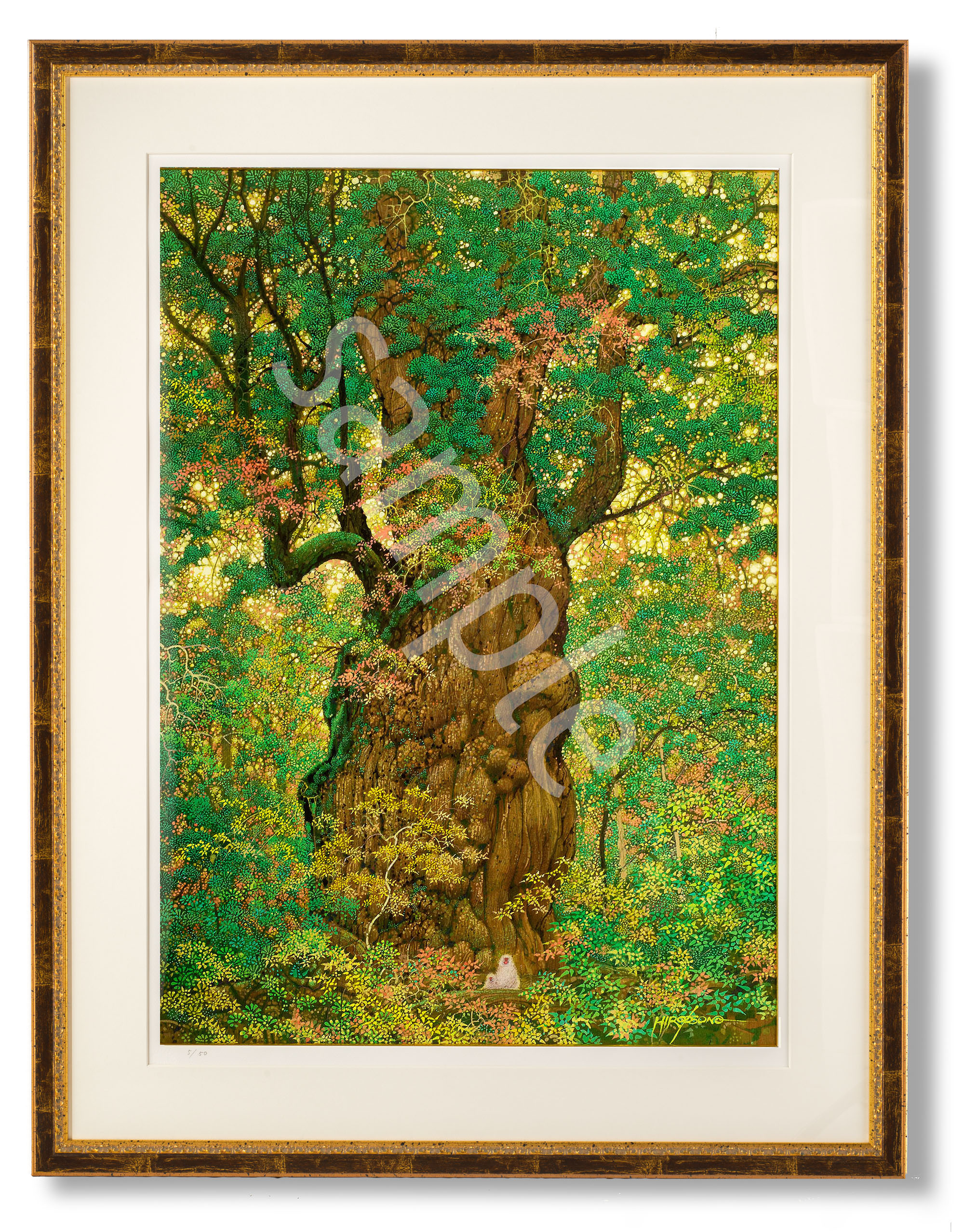 額装版画「秋の縄文杉」原画実寸 LLサイズ | Emerald Forest Online