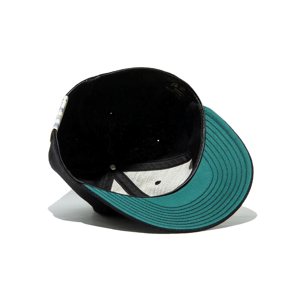 THE H.W.DOG&CO. UMPIRE BASEBALL CAP - Black | FLARY