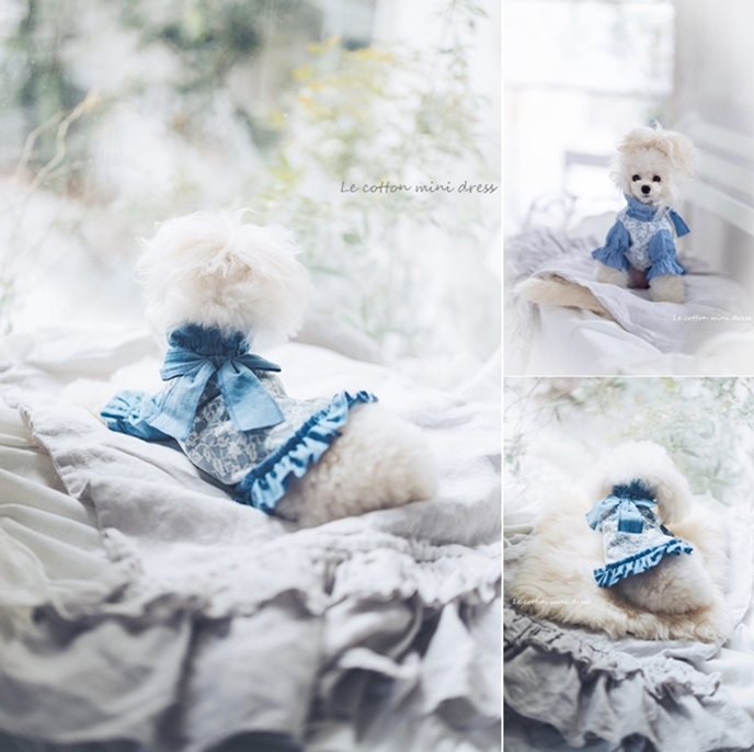 Le coton mini dress（ル コトン ミニドレス）♪☆dungaree☆ | For Dear D