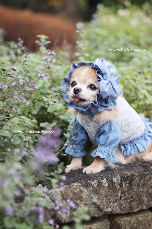 Le coton mini dress（ル コトン ミニドレス）♪☆dungaree☆ | For Dear D