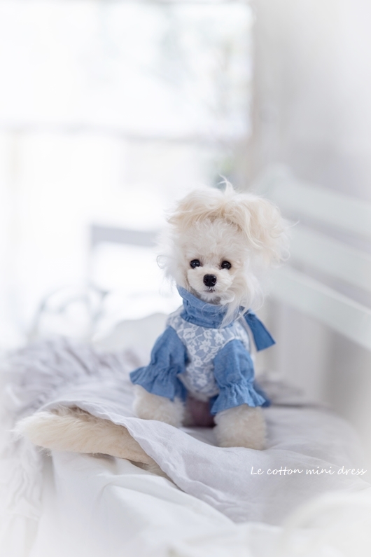 Le coton mini dress（ル コトン ミニドレス）♪☆dungaree☆ | For Dear D