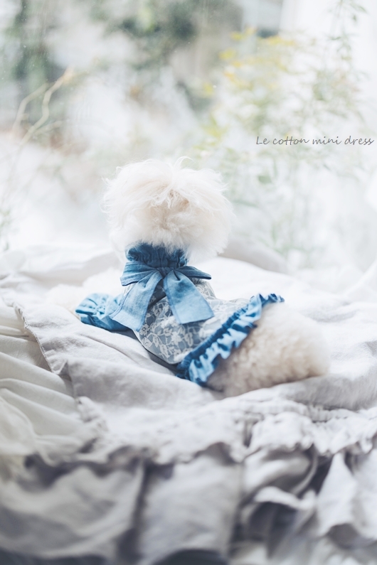 Le coton mini dress（ル コトン ミニドレス）♪☆dungaree☆ | For Dear D