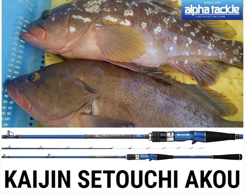 アルファ―タックル 海人 瀬戸内アコウ 210 | フィッシングまつもと
