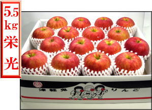 りんご TANDAIs APPLE | 47CLUB – 名産・特産品・ご当地グルメのお取り寄せ