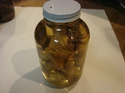 ツルニンジン酒⑦(5little瓶) 2017年採取