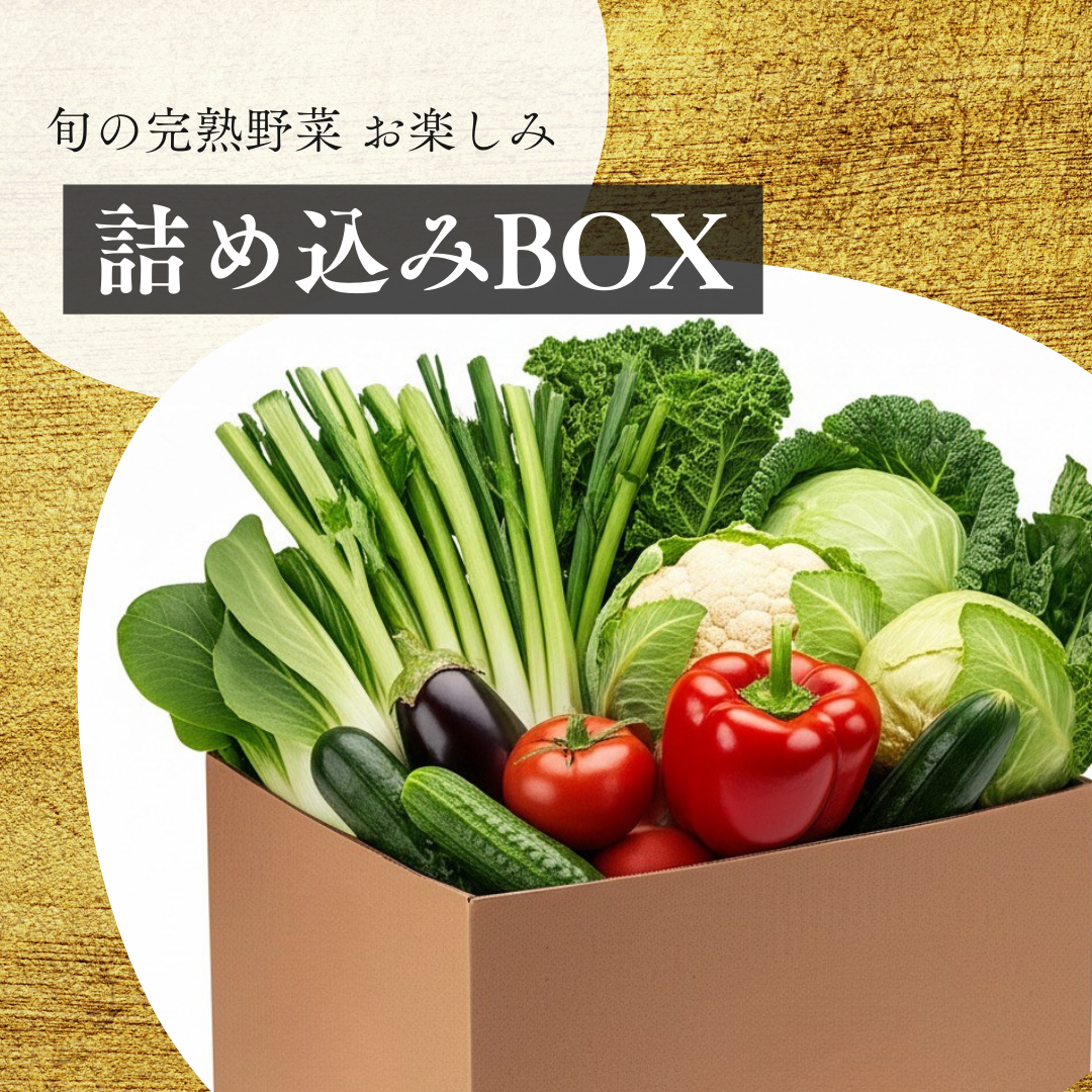 クリックで画像を表示