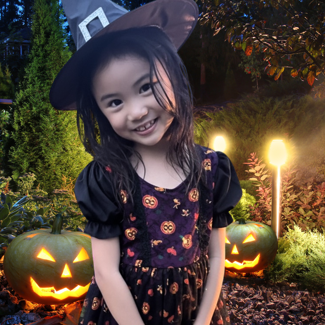 クリックで画像を表示