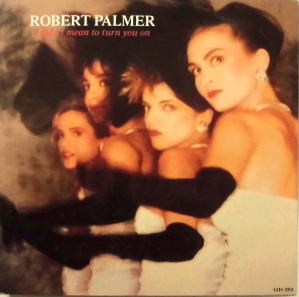 ROBERT PALMER / I DIDN'T MEAN TO TURN YOU ON | ぶるうばあどRecords