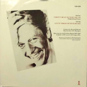 ROBERT PALMER / I DIDN'T MEAN TO TURN YOU ON | ぶるうばあどRecords