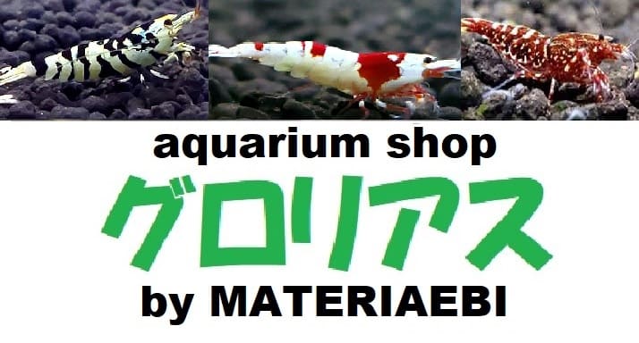アクアリウムショップグロリアス 販売ページ