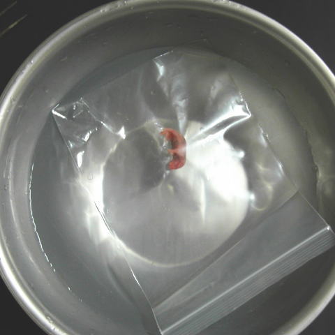 プレミアム冷凍マウス】 ピンクマウス S 【10匹入り】 『冷凍品の為