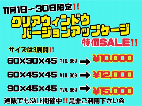 11月SALE！】クリアウィンドウバージョンアップ【ブラック】『60×45×45』 | 爬虫類倶楽部